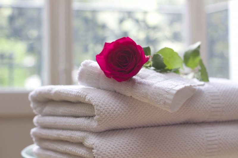 chambre-hote-REVEST LES ROCHES-min_towel_rose_clean_care_salon_spa_white_bath-731641